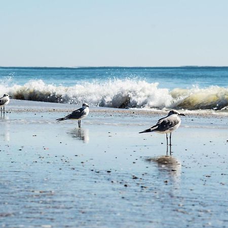 Direct Gulf Views With Deeded Beach Access Gulf Shores Kültér fotó